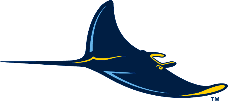 Tampa Bay Rays 2008-Pres Alternate Logo 01 iron on paper